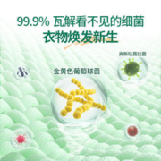 Kispa 好爸爸 洗衣液 除菌抑菌 深层洁净 宝宝专用 13.52斤