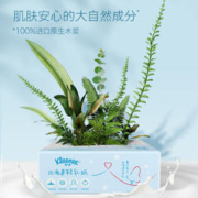 Kleenex 舒洁 北海道轻牛乳系列乳霜纸抽面巾牛乳纸100抽*3包