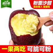 胡小哥甘肃天水花牛沙甜粉面苹果婴儿刮泥老人粉糯蛇苹果(需放粉后食用) 带箱3斤中小果（需放粉）