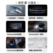 华为Sound X 2021智能AI音箱帝瓦雷60W小艺音响双低音炮立体声WiFi声控家用高端播放器 华为Sound SE【亮黑色】