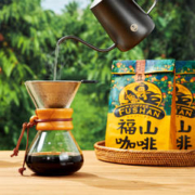 国人的平价咖啡、年货先到家：福山 海南特产 原味纯黑咖啡 227g