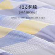 梦洁家纺 纯棉四件套全棉床单被套被罩单双人床上用品 风行时光 1.5m床（被套200*230cm）