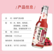 麦序 杨梅味气泡米露230mlx1瓶
