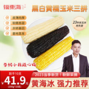 福東海 福东海新鲜低脂香甜糯玉米 真空包装苞米穗健康轻食 2200g 黑白黄三拼*10