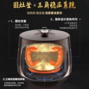 美的（Midea）电压力锅 智能家用大容量 多功能不粘锅 双圆灶釜一键排气 一锅双胆高压锅 压力锅 YL50Easy203