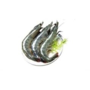 虾有虾途 青岛超大虾 17-20厘米 4斤