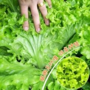 M.S.Feel 蔓斯菲尔 沙发边几边柜边桌客厅家用茶桌置物架床头床边迷你阳台小茶几桌子