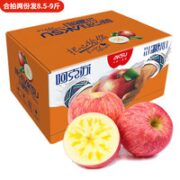 阿克苏苹果 阿克苏冰糖心苹果 5斤装 果径75-80mm