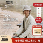 BOSIDENG 波司登 20点开始：BOSIDENG 波司登 鹅绒羽绒服 B30131024