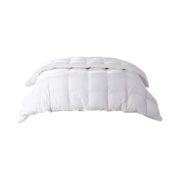 8H95%大朵白鹅绒Y1C抗菌羽绒被芯 冬被1100g 200*230cm 本白色