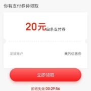 京东金融 惊喜福利 领20元白条支付券