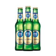 崂山啤酒 经典金麦啤酒 316ml*24瓶*2件 买二送二 到手96瓶 送杯子