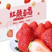 风之郁 红颜99奶油大草莓 5斤单果15-20g