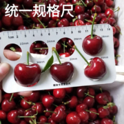 京东百亿补贴：甜萌 果蔬智利车厘子樱桃 1斤 3J