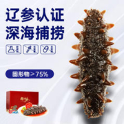 春节年货礼盒：棒棰岛 辽刺参 1500g 27-36只 礼盒装