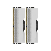 光威（Gloway）48GB(24GBx2)套装 DDR5 6400 台式机内存条 龙武系列 海力士M-die颗粒 CL32