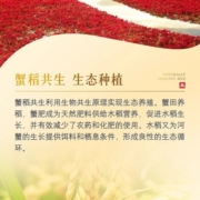 【10点抢】金龙鱼盘锦大米5kg东北圆粒珍珠米蟹稻共生大米10斤