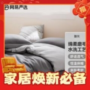YANXUAN 网易严选 亲肤磨毛三件套 深浅豆灰 1.2m床