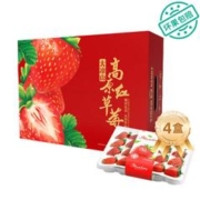 奶萝 四川大凉山红颜草莓 现摘现发 礼盒装 四盒
