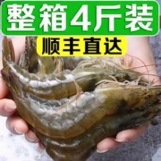 渔和苑 渤海大虾新鲜冷冻海虾超大基围虾厄尔多瓜优选带箱4斤