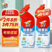 vewin 威王 除重垢洁厕净 500g*2瓶 松木清香