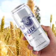 haller 哈勒 小绵羊啤酒10° 500ml