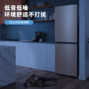 SKYWORTH 创维 BCD-170_普利金小型双门家用低音电冰箱（厂送） 普利金