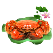 【活蟹】鱻谣 大闸蟹鲜活螃蟹 公3.8-4.1两 母2.8-3.1两 4对8只 去绳足重 生鲜蟹类礼盒