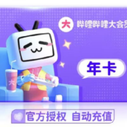 哔哩哔哩大会员年卡 12个月