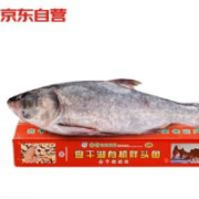 查干湖鱼现货 冬捕有机查干湖胖头鱼10.5-11斤 1条 年货礼盒