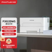 PANTUM 奔图 P3022DWS 黑白激光打印机 白色