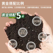 TIANWO 甜沃 通用型种花家用营养土 2斤