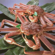 佳宝臣 VEYBOUSON 俄罗斯松叶蟹活冻 3斤1只