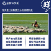 草原领头羊 羊肉礼盒半羊10斤礼盒装