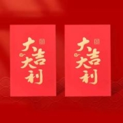 2024新款过年利是封龙年红包10封