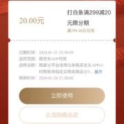京东 领取满299-20元白条分期券