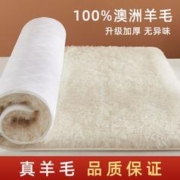 梦巢 澳洲羊毛床垫褥子软垫家用冬季加厚单人宿舍冬天保暖羊羔绒垫子