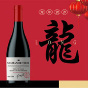 SAINT JOYSTON 圣约斯顿 法国进口 蒂瑞斯干红葡萄酒 14%vol 750ML 单支装