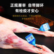 禧宁堡 正宗全羊整只宁夏盐池滩羊肉新鲜现杀30斤羔羊烧烤原切年货礼盒
