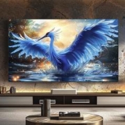 京东PLUS：FFALCON 雷鸟 鹤7 75R685C 液晶电视 75英寸
