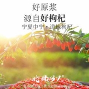 玺中悦 宁夏鲜红枸杞原浆汁 300ml 礼盒