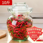 TiaNXI 天喜 泡菜坛子家用加厚密封罐 10斤装
