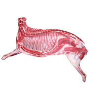 高凉州储良村 羊肉 半只羊(老羊) 净重10斤A(羊腿4羊排3羊蝎子3斤)