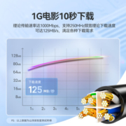 山泽(SAMZHE)六类网线 CAT6类千兆极速8芯双绞 工程家用电脑宽带监控电脑网络跳线成品网线 黑色3米 WD6030