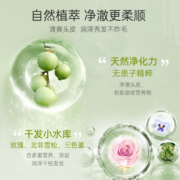 滋源馨香洗发水无患子香氛洗头膏露750ml修护/顺滑改善毛躁正品