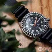 Citizen 西铁城 NH8380-15E 自动机械男士手表