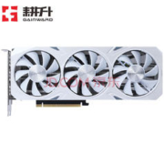 GAINWARD 耕升 GeForce RTX 3080 炫光 10GB 显卡 10GB 黑白色