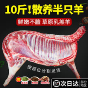 津尚鲜 新鲜现杀半只羊内蒙古羊肉10斤羊排羊蝎子整只羊腿烧烤食材全羊