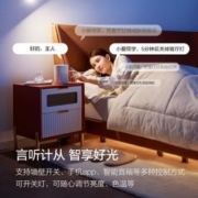 OPPLE 欧普照明 欧普led吸顶灯具书房餐厅现代简约百搭圆形阳台灯冰玉III卧室集WS