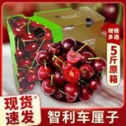 JOYVIO 佳沃 智利车厘子5斤J级当季新鲜水果整箱包邮礼盒装